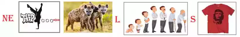 Ingrandisci questa immagine