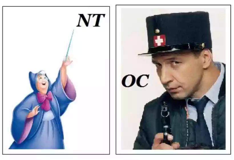 Ingrandisci questa immagine
