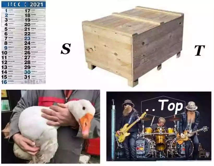 Ingrandisci questa immagine