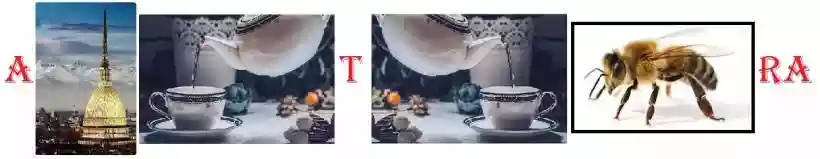 Ingrandisci questa immagine