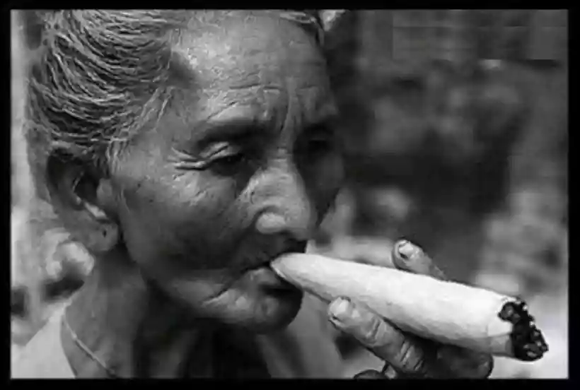 Ingrandisci questa immagine