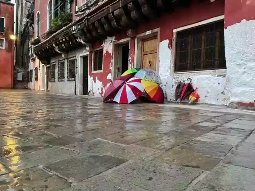 Ingrandisci questa immagine