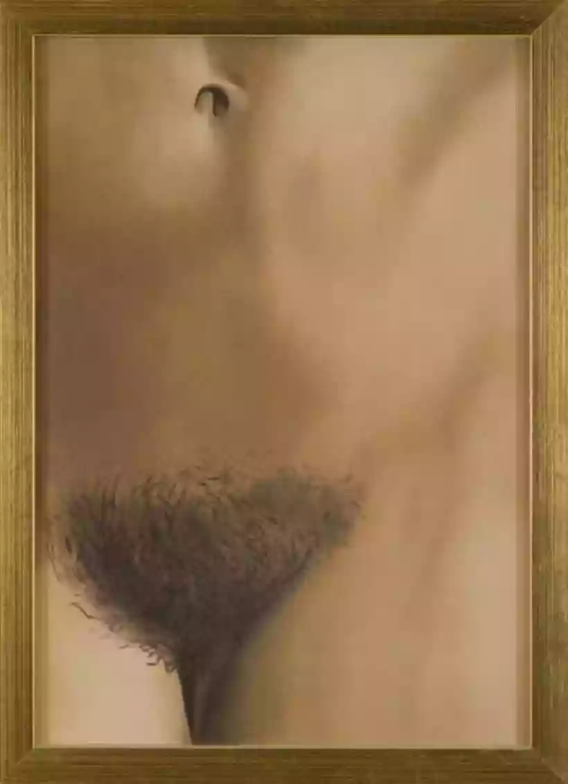 Ingrandisci questa immagine