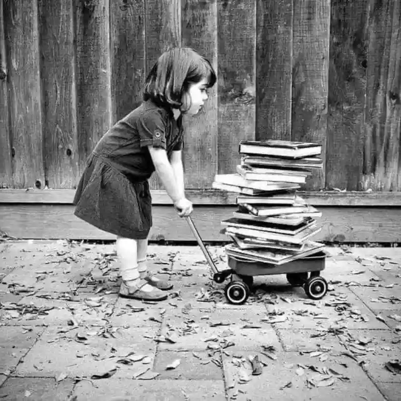 Ingrandisci questa immagine