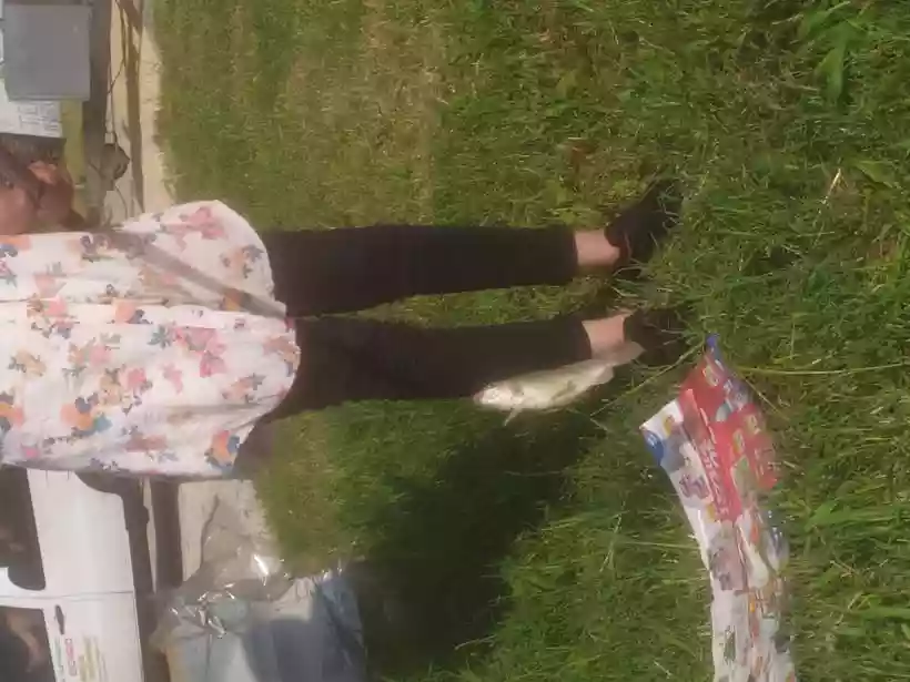 Ingrandisci questa immagine