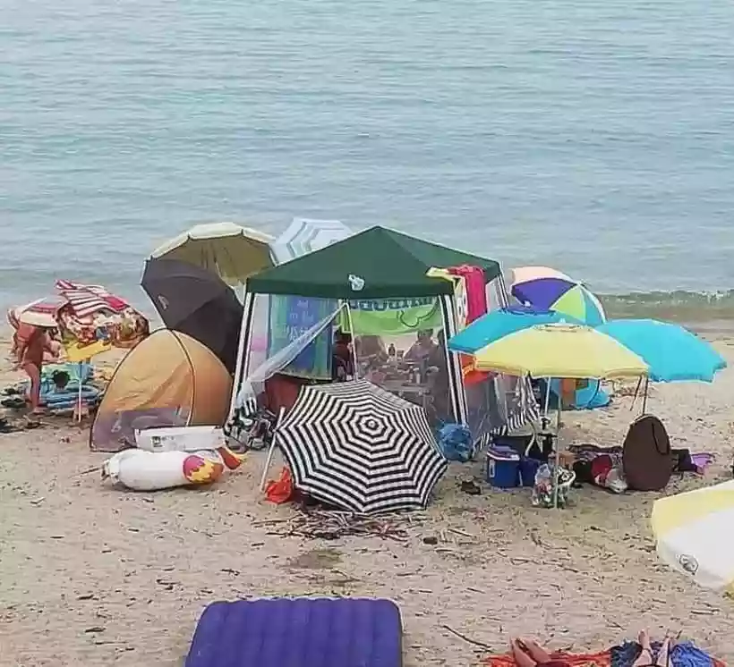 Ingrandisci questa immagine