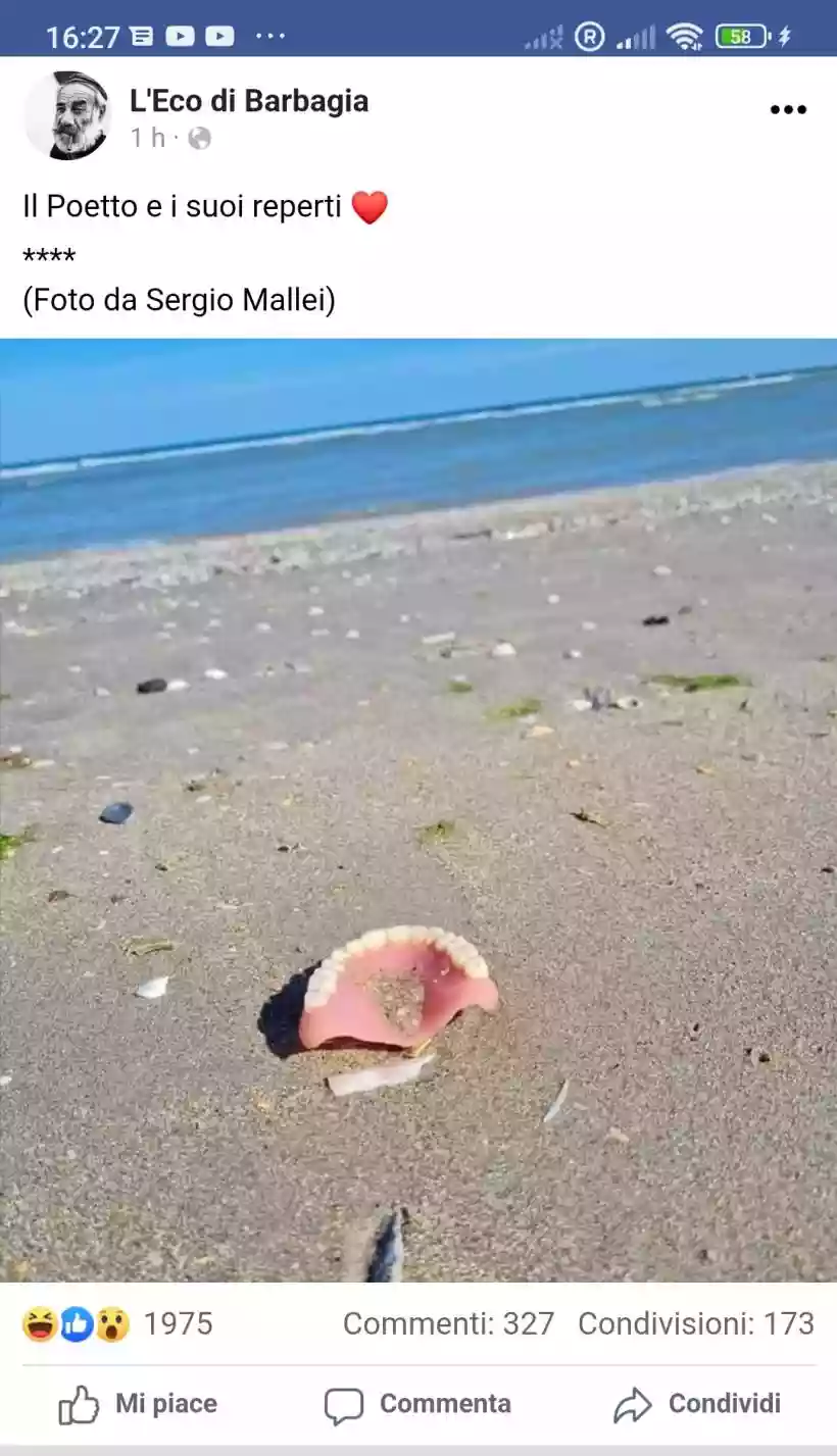 Ingrandisci questa immagine