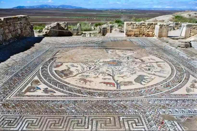 Ingrandisci questa immagine