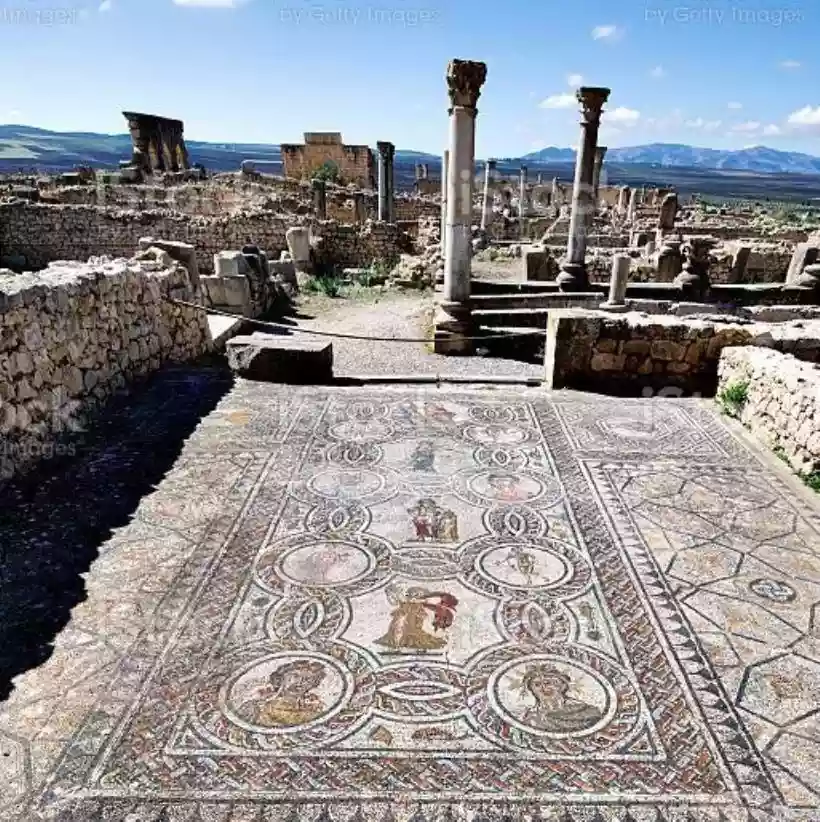 Ingrandisci questa immagine