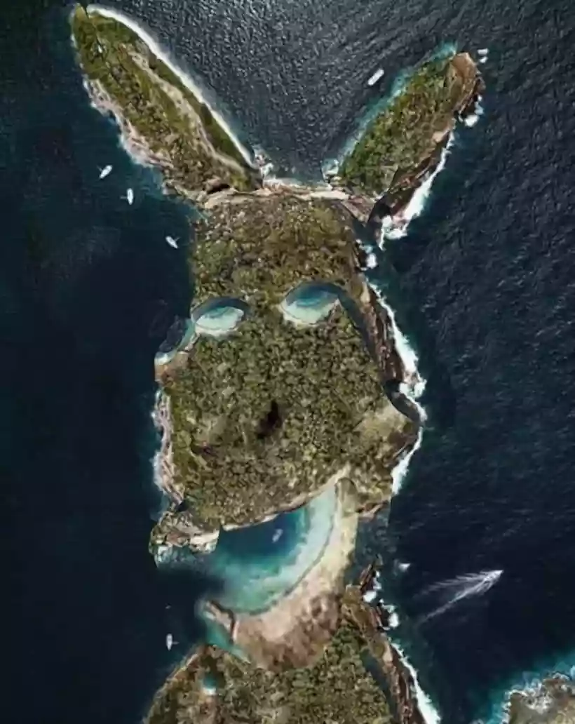Ingrandisci questa immagine