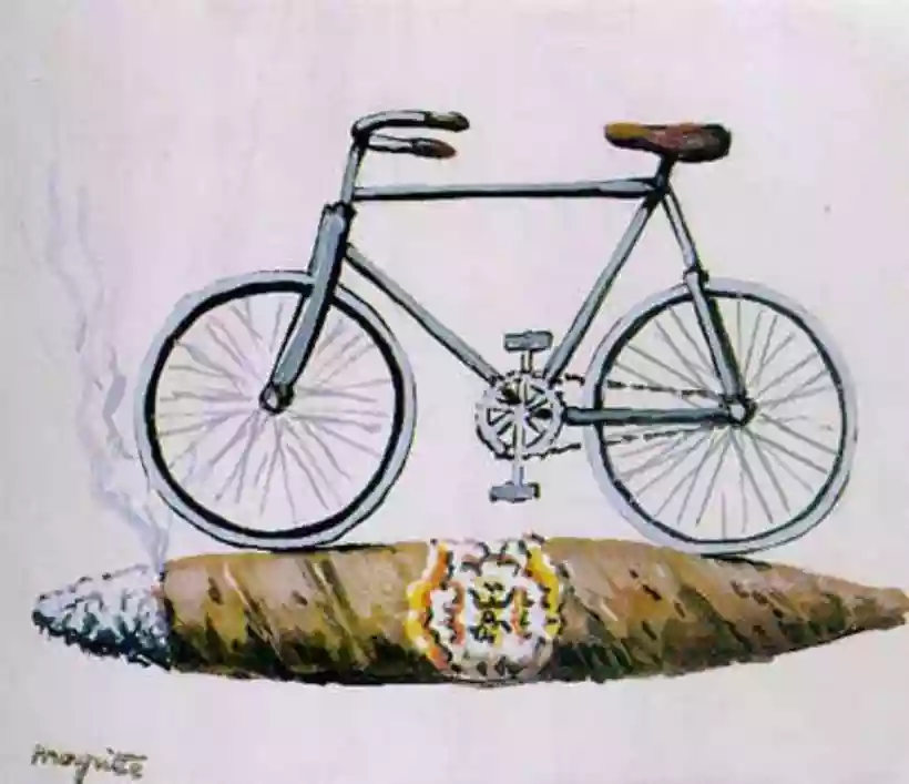 Ingrandisci questa immagine