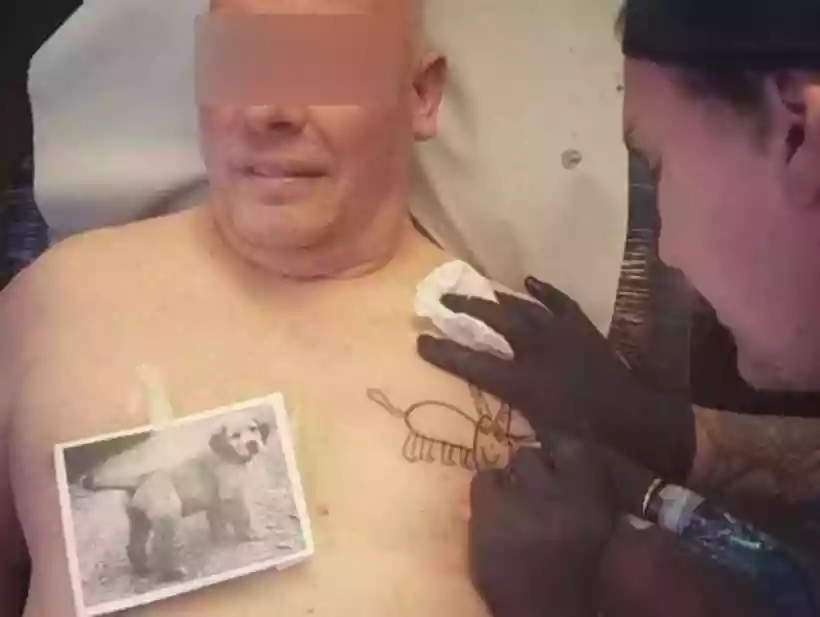 Ingrandisci questa immagine