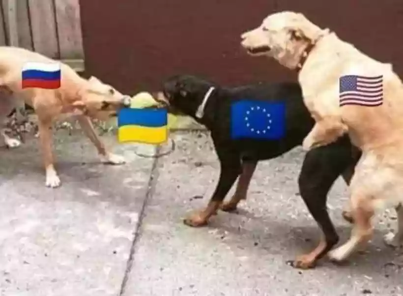 Ingrandisci questa immagine