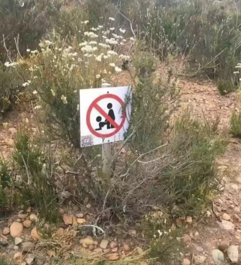 Ingrandisci questa immagine