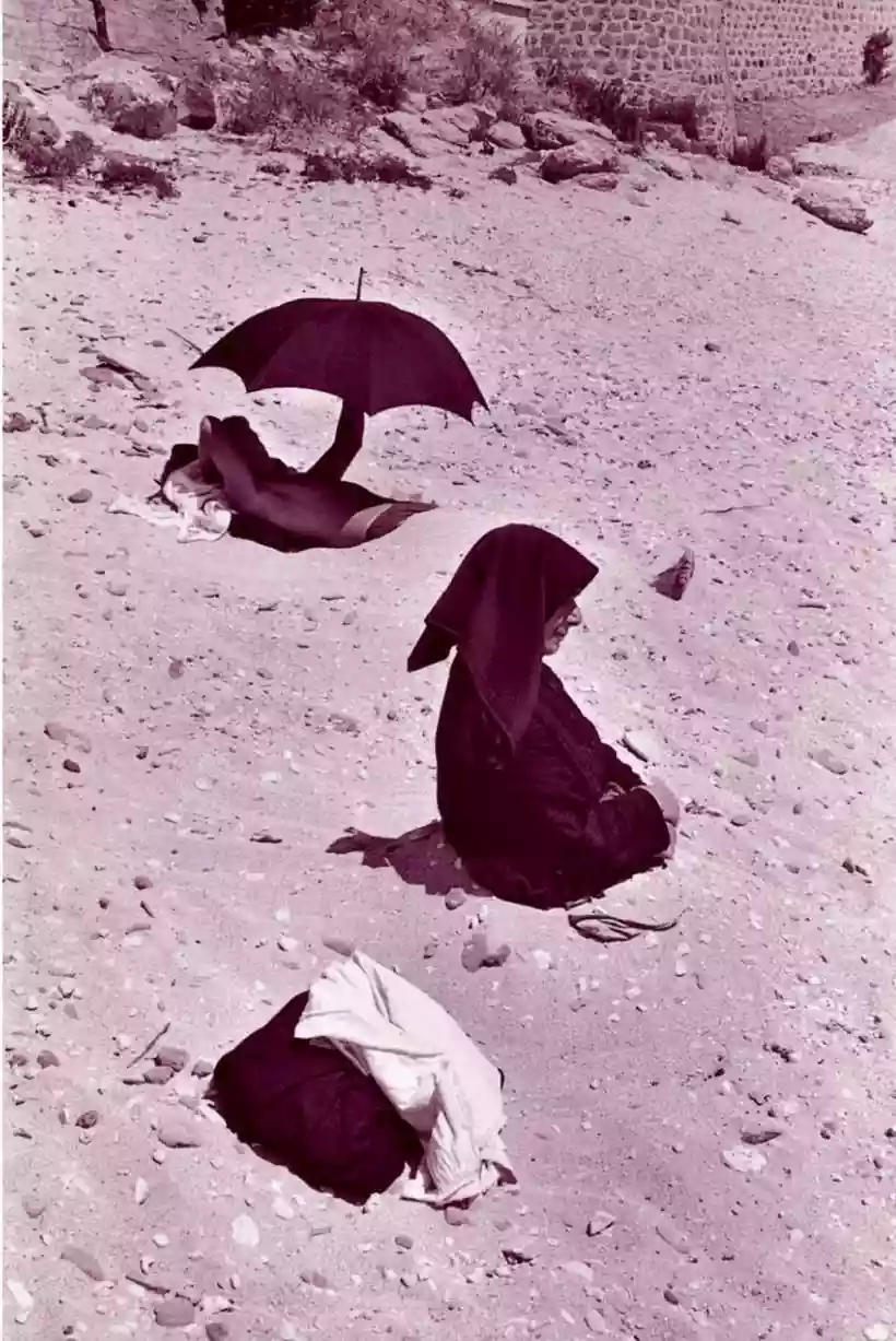Ingrandisci questa immagine