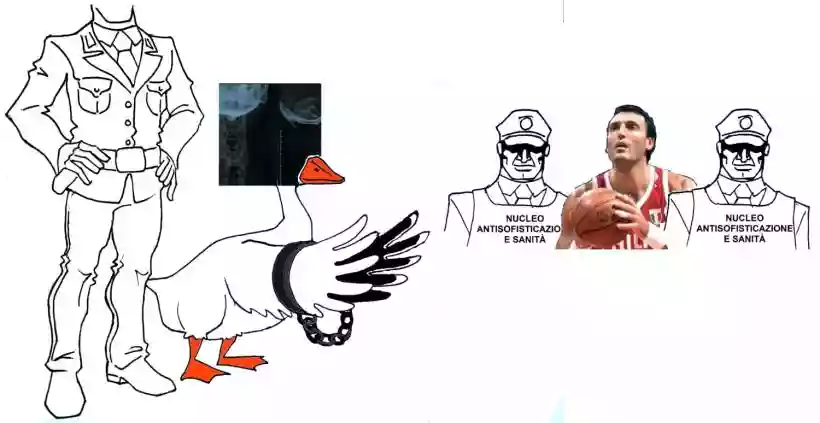 Ingrandisci questa immagine