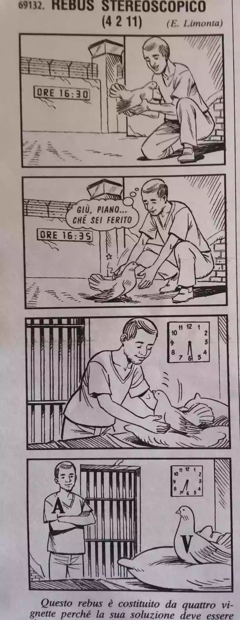 Ingrandisci questa immagine