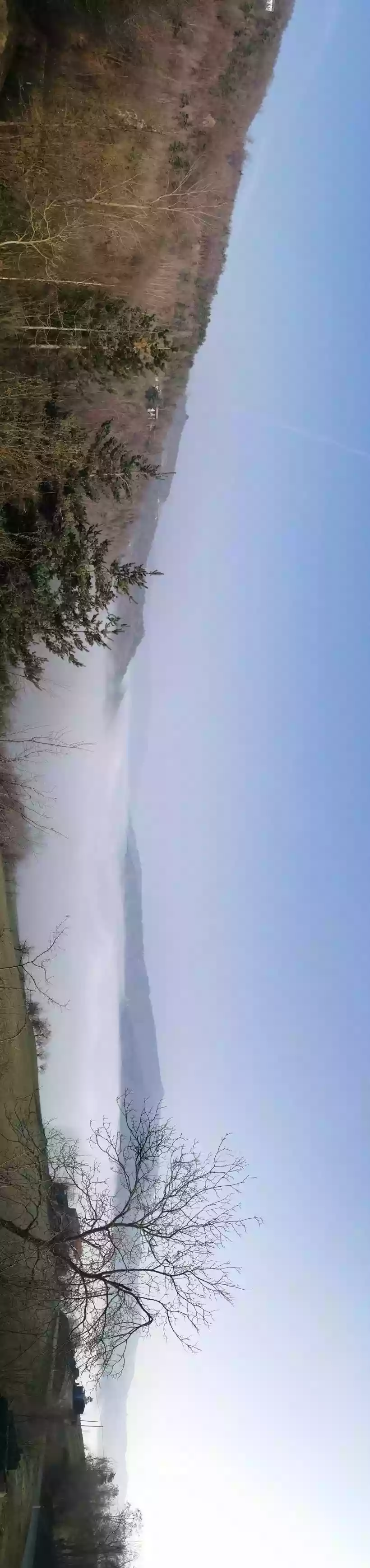 Ingrandisci questa immagine