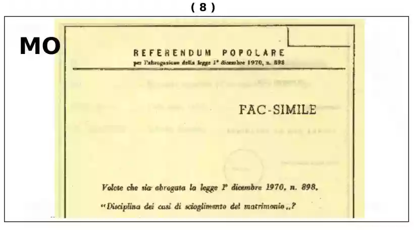 Ingrandisci questa immagine