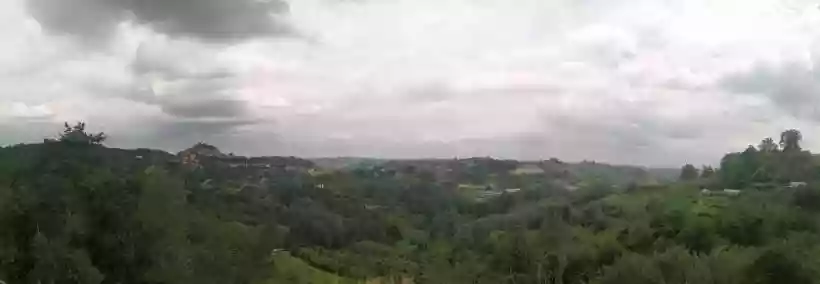 Ingrandisci questa immagine