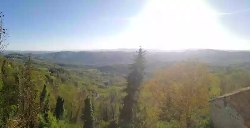 Ingrandisci questa immagine