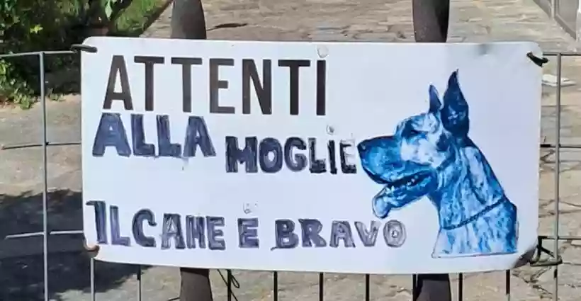 Ingrandisci questa immagine