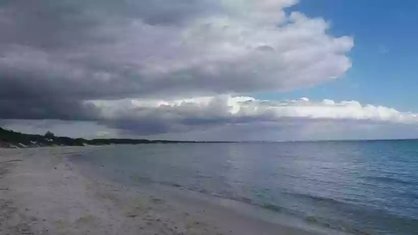 Ingrandisci questa immagine