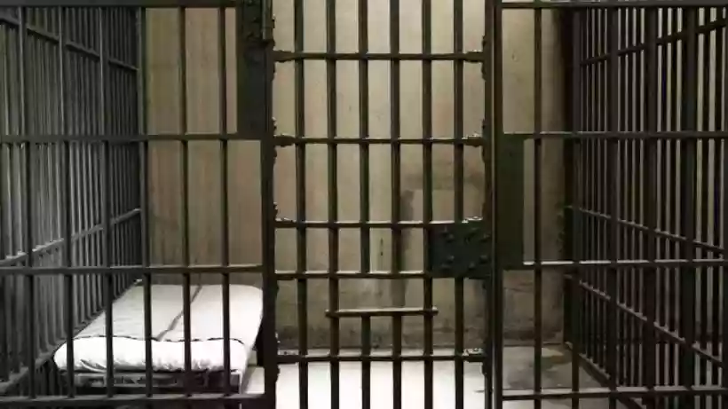 Ingrandisci questa immagine