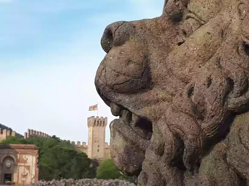 Ingrandisci questa immagine