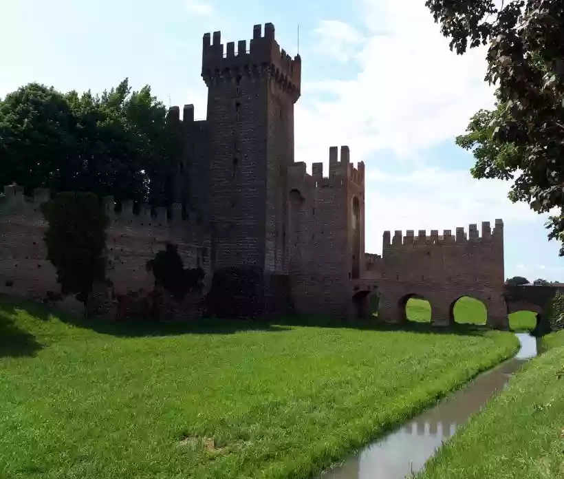 Ingrandisci questa immagine