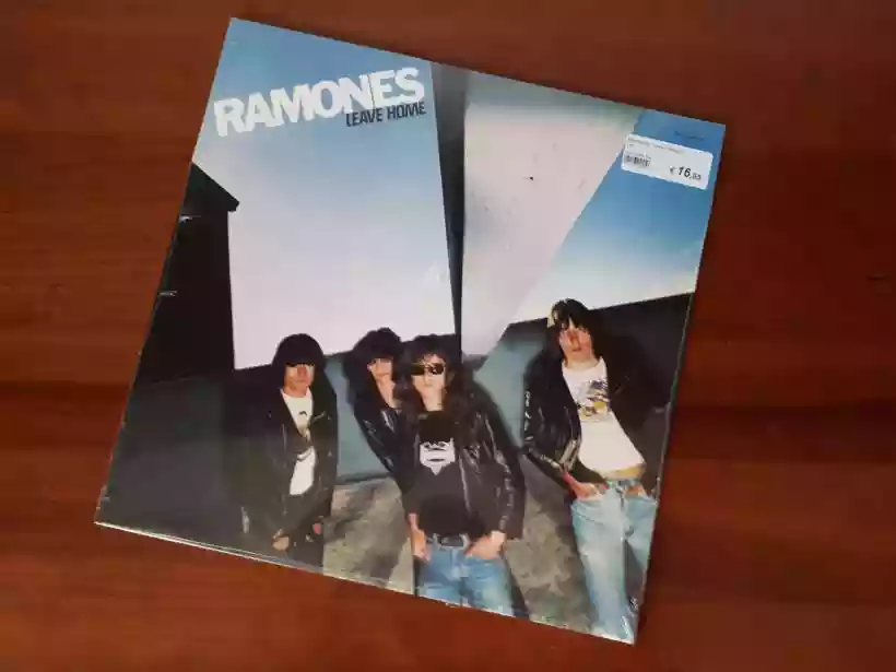 Ingrandisci questa immagine