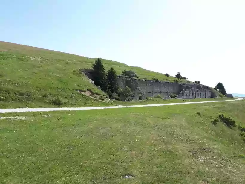 Ingrandisci questa immagine