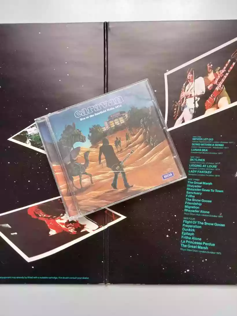 Ingrandisci questa immagine