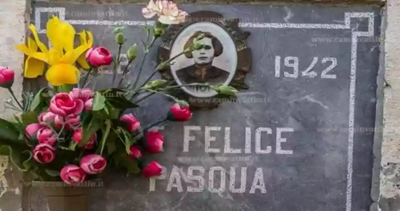 Ingrandisci questa immagine