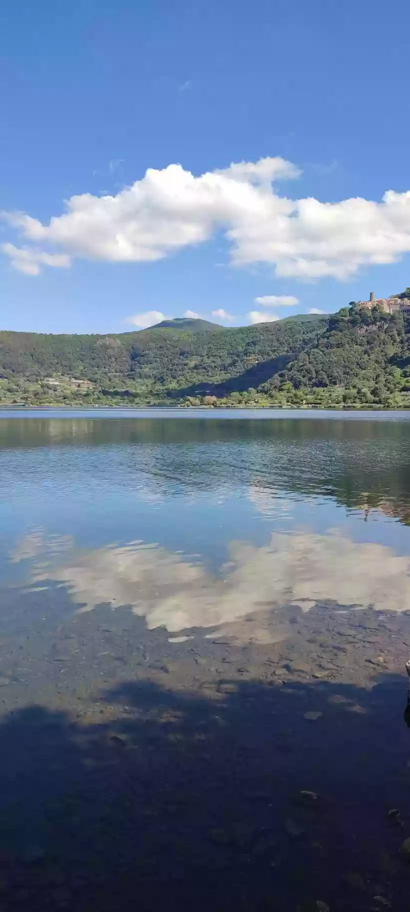 Ingrandisci questa immagine