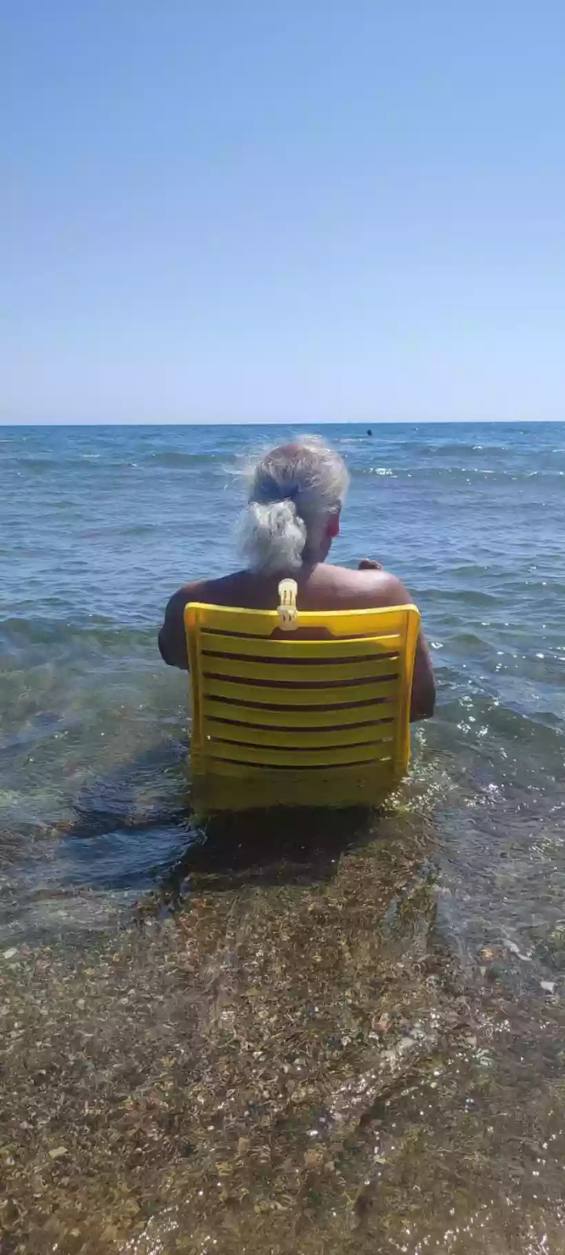 Ingrandisci questa immagine