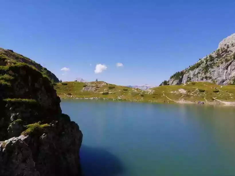 Ingrandisci questa immagine