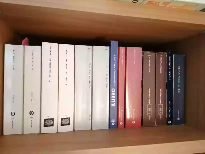 Ingrandisci questa immagine