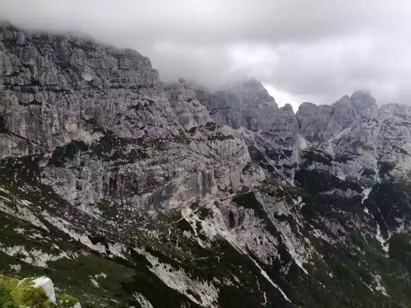 Ingrandisci questa immagine