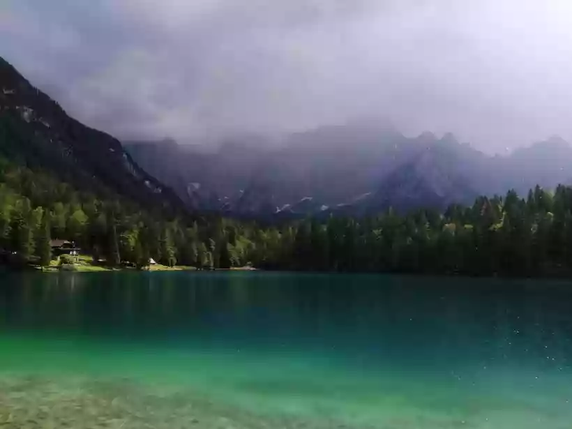 Ingrandisci questa immagine