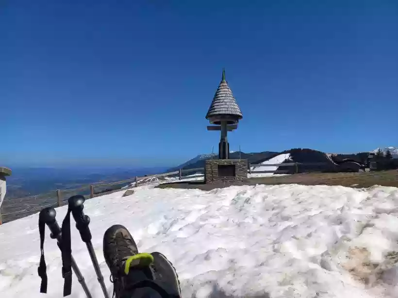 Ingrandisci questa immagine