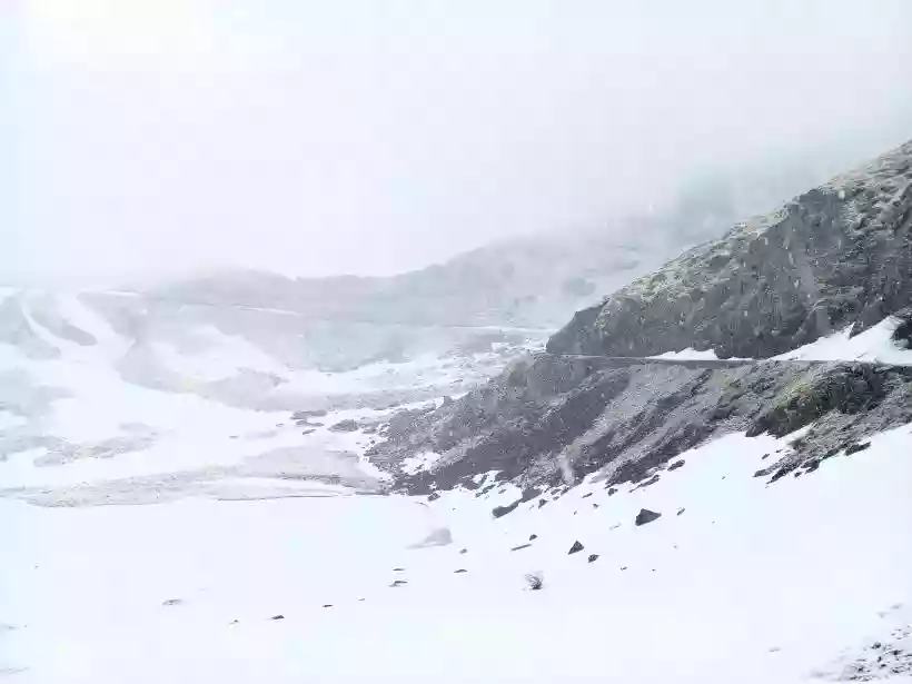 Ingrandisci questa immagine
