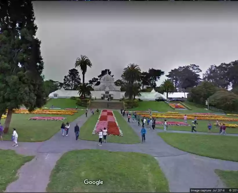 Ingrandisci questa immagine