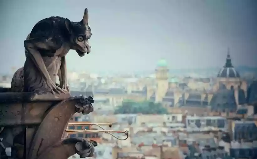 Ingrandisci questa immagine