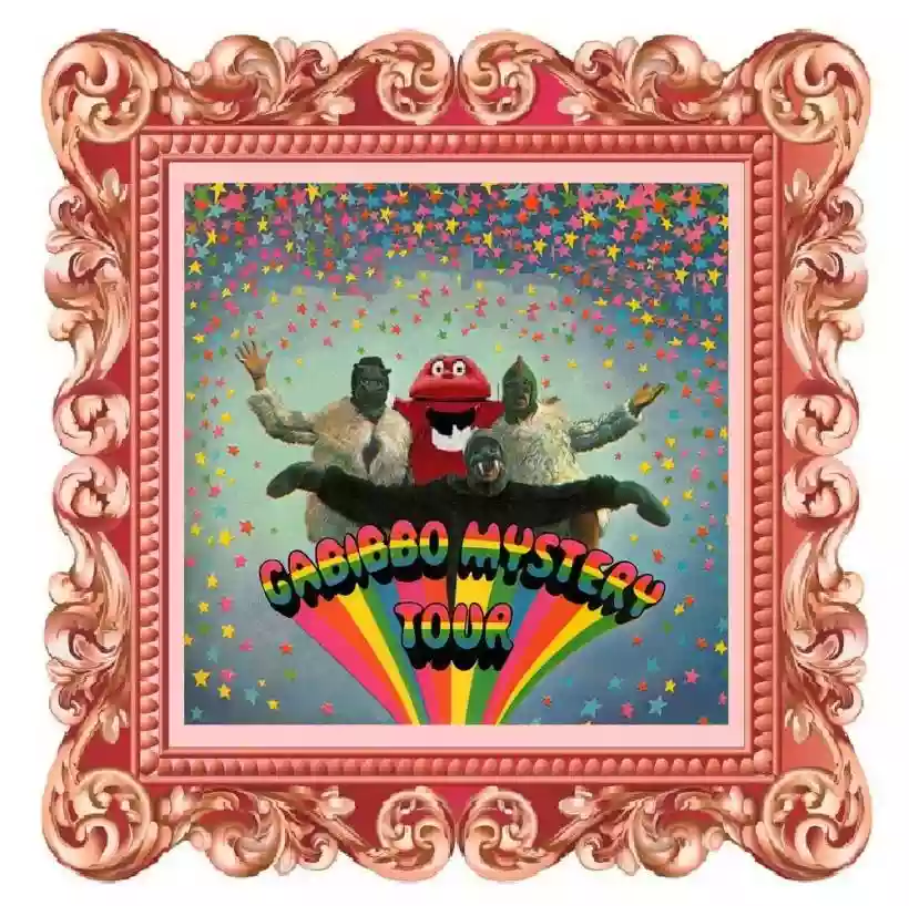 Ingrandisci questa immagine