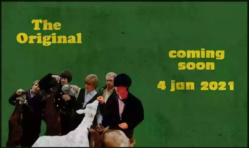 Ingrandisci questa immagine