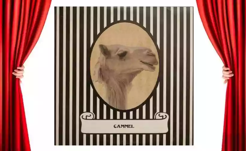 Ingrandisci questa immagine