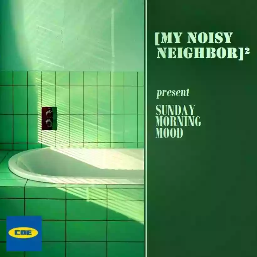 Ingrandisci questa immagine