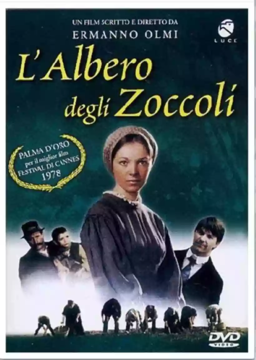 Ingrandisci questa immagine