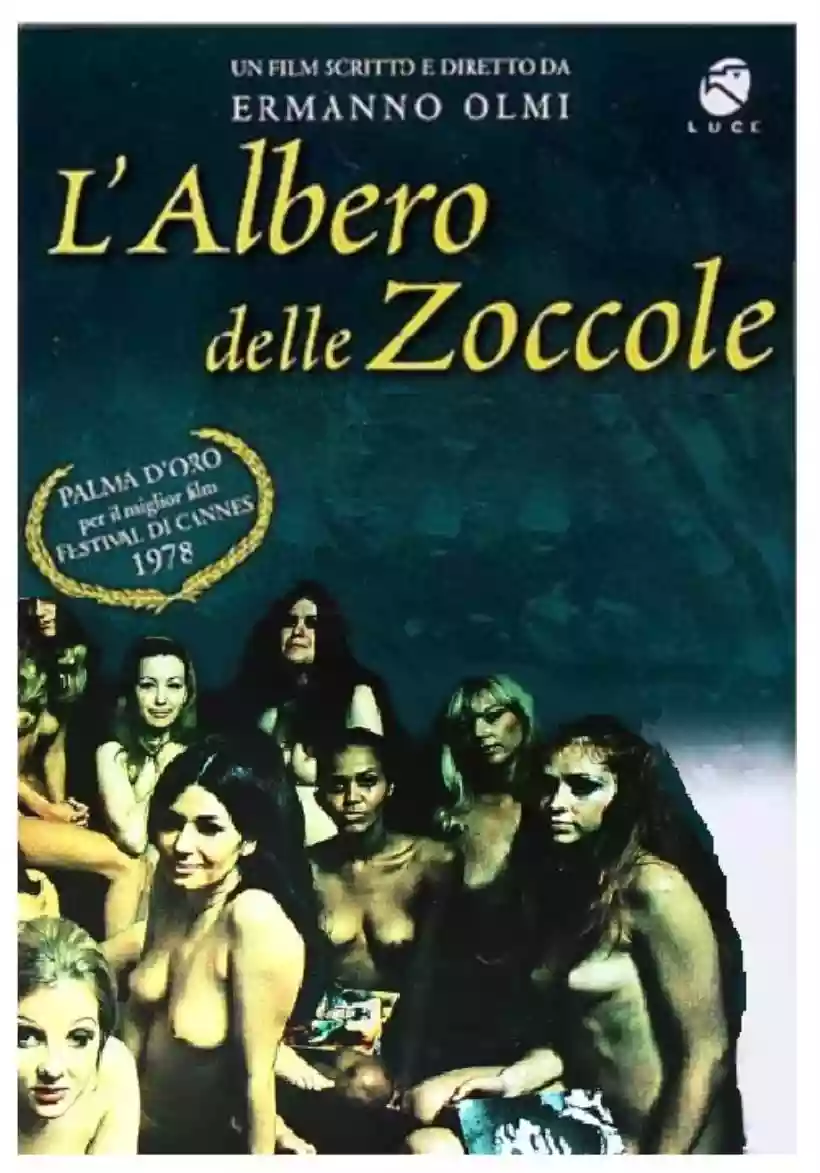 Ingrandisci questa immagine